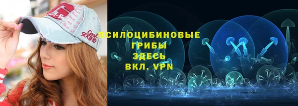 синтетический гашиш Алексеевка