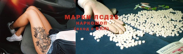 твердый Алзамай