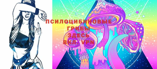 твердый Алзамай
