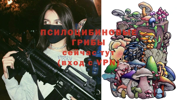 синтетический гашиш Алексеевка