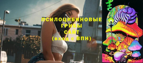 твердый Алексин